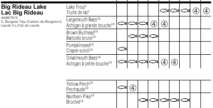 Northern Pike Age Chart